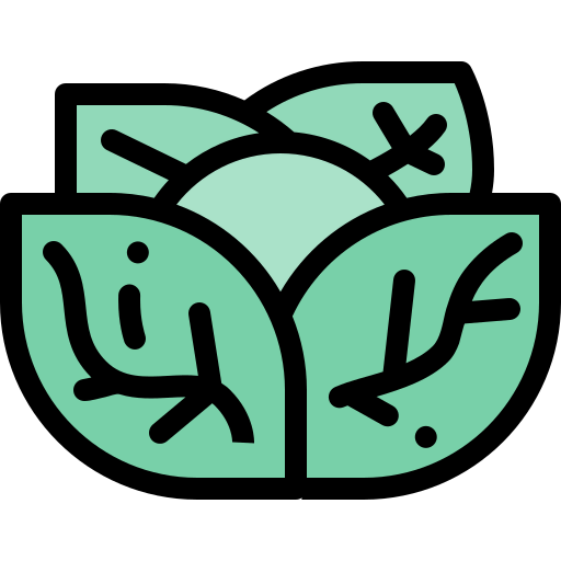 Cabbage icon
