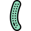 Cucumber icon 64x64