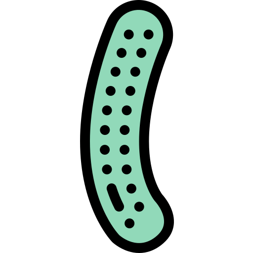 Cucumber icon