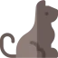 Cat icon 64x64