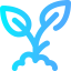 Sprout icon 64x64