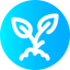 Sprout icon 64x64