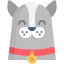 Cat icon 64x64