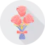 Rose icon 64x64