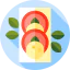 Salad icon 64x64