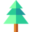 Pine tree icon 64x64