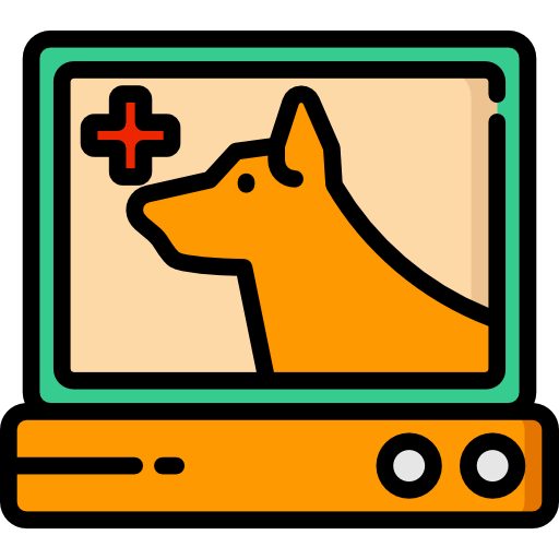 Cardiogram icon