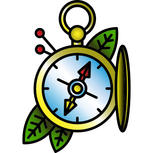 Compass icon