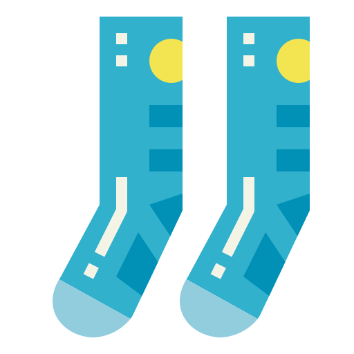 Socks icon