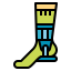 Ankle icon 64x64