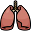 Lungs icon 64x64