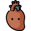 Cardiology icon 64x64
