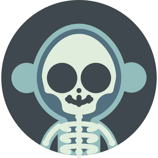 X rays icon