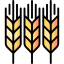 Wheat icon 64x64