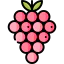 Grapes icon 64x64