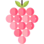 Grapes icon 64x64