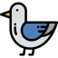 Seagull icon 64x64