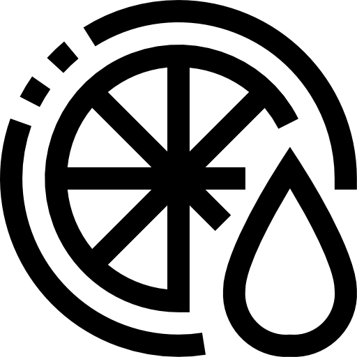 Orange icon