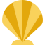 Shell icône 64x64
