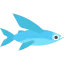Flying fish biểu tượng 64x64