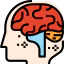 Brain icon 64x64