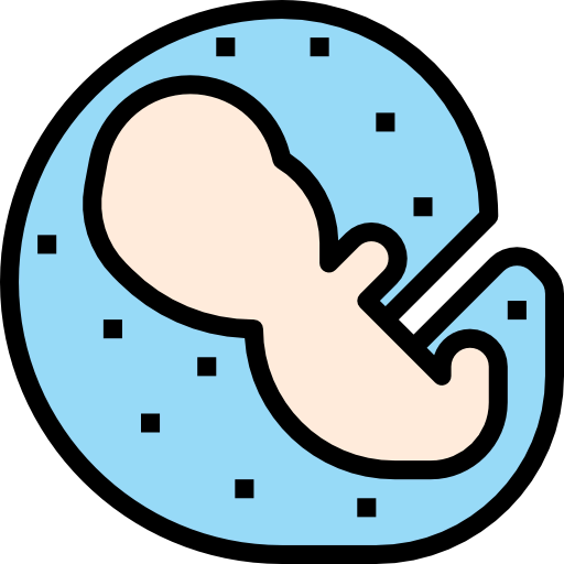 Embryo icon