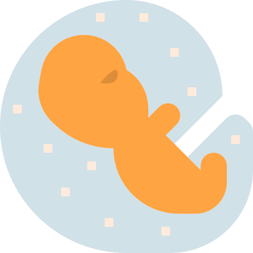 Embryo icon
