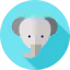 Elephant icon 64x64