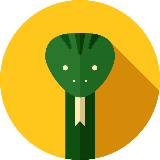 Snake icon