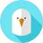Seagull icon 64x64