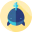 Whale icon 64x64