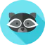 Racoon icon 64x64