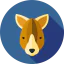 Kangaroo icon 64x64