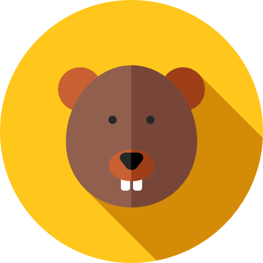 Beaver icon