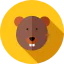 Beaver icon 64x64