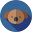 Koala icon 64x64