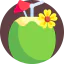 Coconut drink icon 64x64