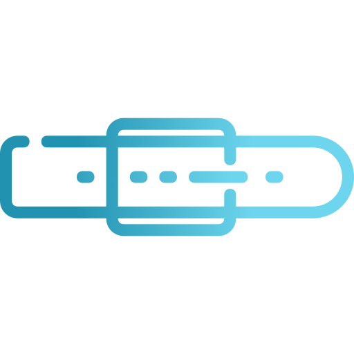 Accessory icon