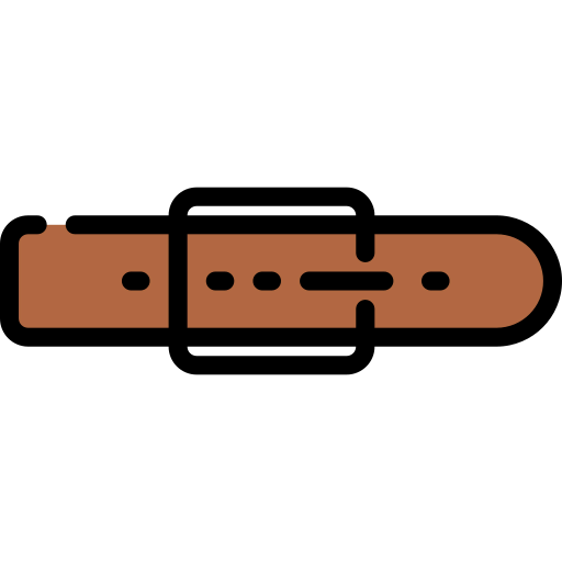 Accessory icon