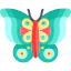 Butterfly icon 64x64