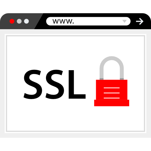 Ssl icon