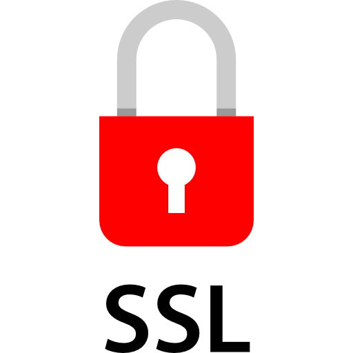 Ssl icon