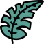 Leaf icon 64x64