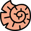 Fossil アイコン 64x64
