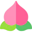 Peach icon 64x64