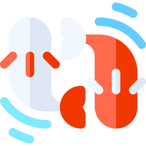 Koi icon