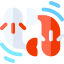 Koi icon 64x64