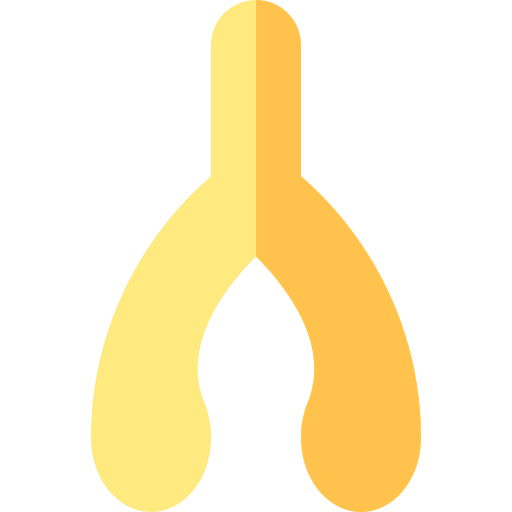Wishbone icon