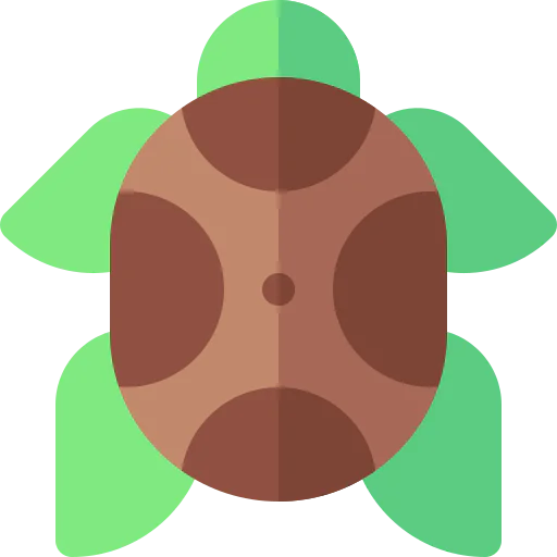 Tortoise Ikona