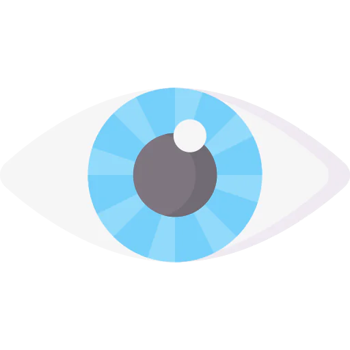 Eye icon